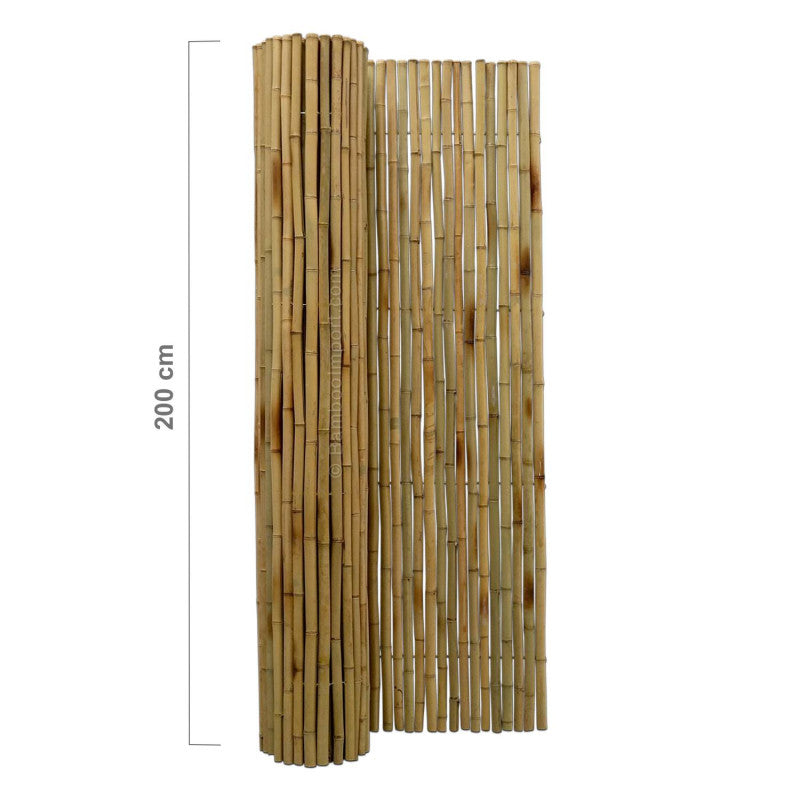 Sienna Udendørs bruseafskærmning i muso bambus 250*200